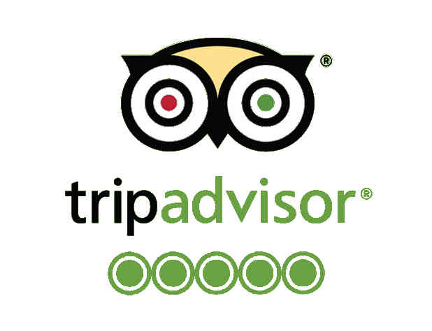 Tripadvisor 5-stars logo