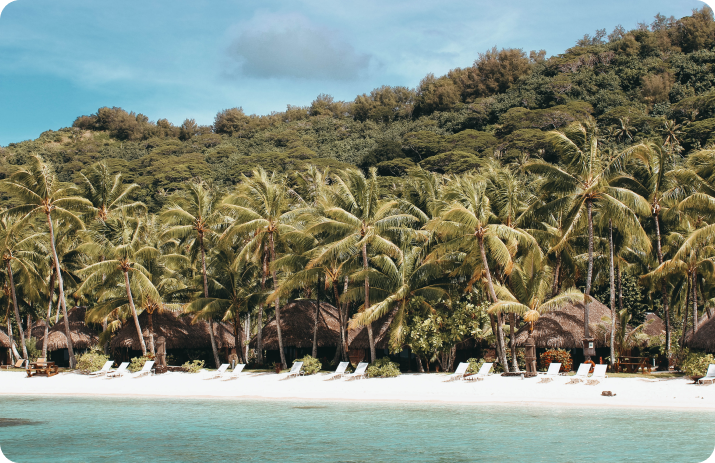 Caribbean Dream Vacations