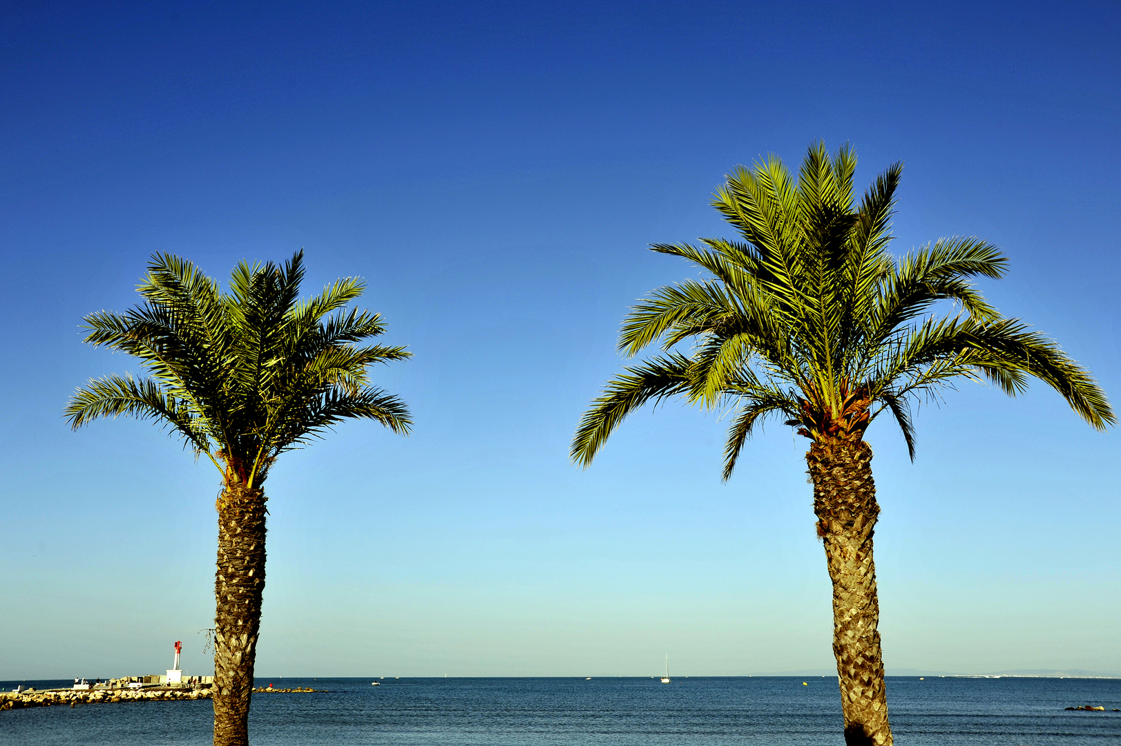 Le soleil, la Camargue, les étendues de plage n'attendent que vous pour vos futures vacances en bord de mer
